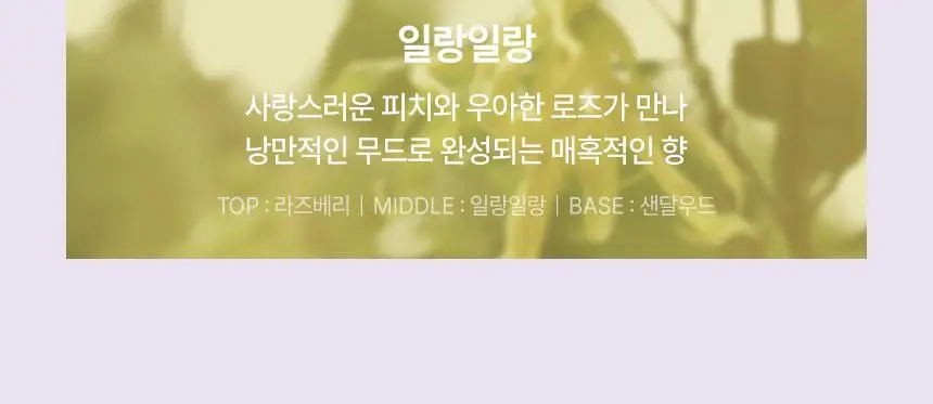 [초고농축 영양케어] 쿤달 울트라 헤어세럼 100ml 3종 택 1 상세페이지 21
